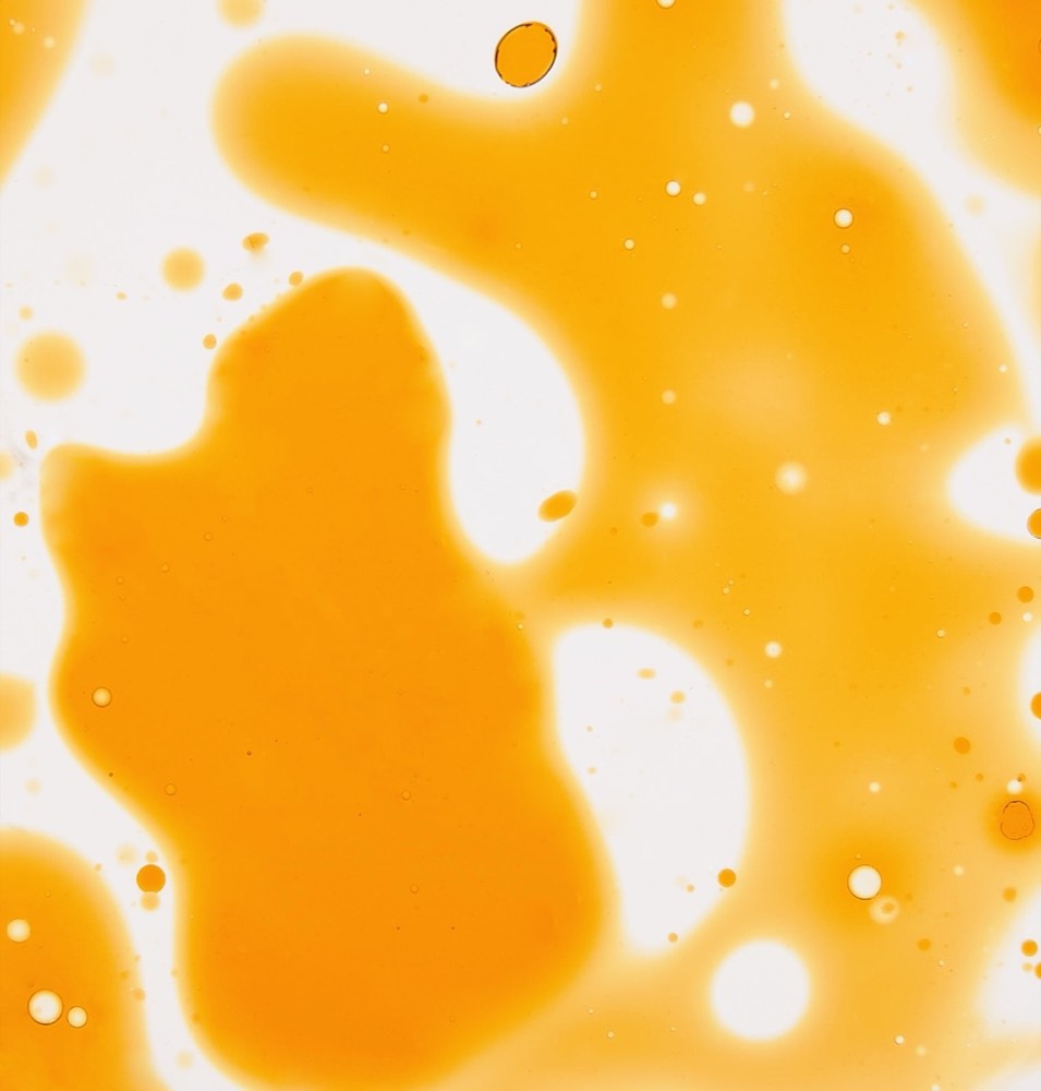 Ginger Curcuma Serum | by Monica Ivancan – 4