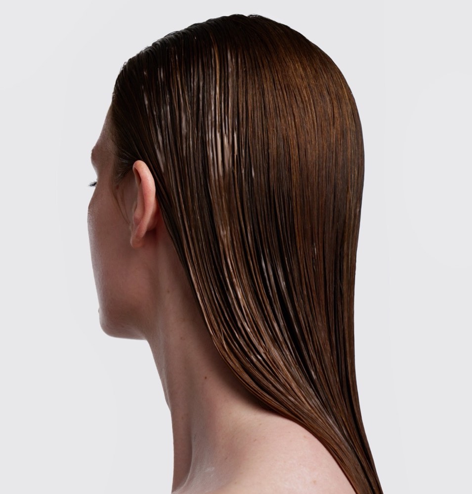 Repair Conditioner – 2
